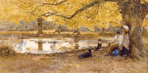 Il luogo dell